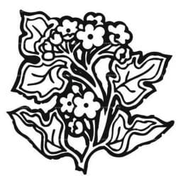 Гравировка цветы №10