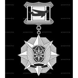 Гравировка ордена и медали №23