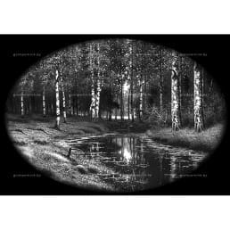 Гравировка пейзаж №17