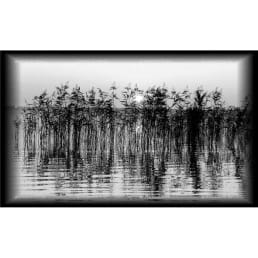 Гравировка пейзаж №19