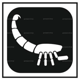 Гравировка знак зодиака №15