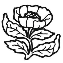 Гравировка цветы №9