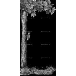 Гравировка эконом №9