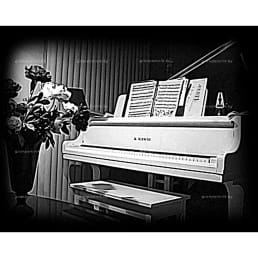 Гравировка музыкальный инструмент №5