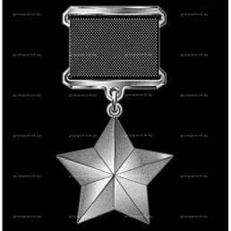 Гравировка ордена и медали №12