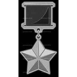 Гравировка ордена и медали №13