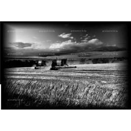 Гравировка пейзаж №11