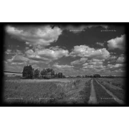 Гравировка пейзаж №5