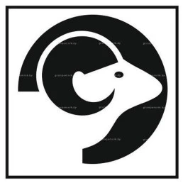 Гравировка знак зодиака №6