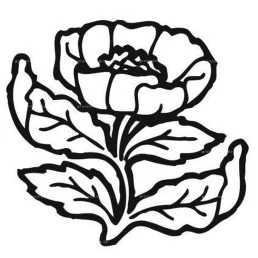 Гравировка цветы №9