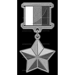 Гравировка ордена и медали №14