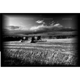 Гравировка пейзаж №11