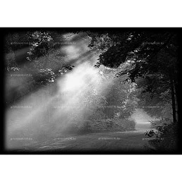 Гравировка пейзаж №16