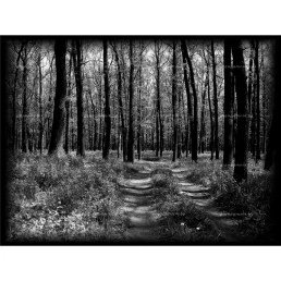 Гравировка пейзаж №18