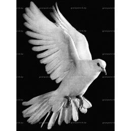 Гравировка птицы №1