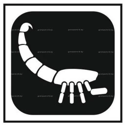 Гравировка знак зодиака №15